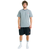 Male model wearing ash grey mélange T-shirt with small front logo and braided neckline, front view